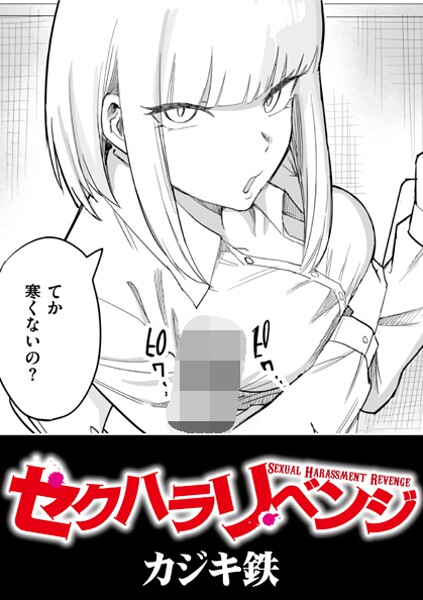 セクハラリベンジ
