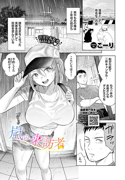 嵐の来訪者